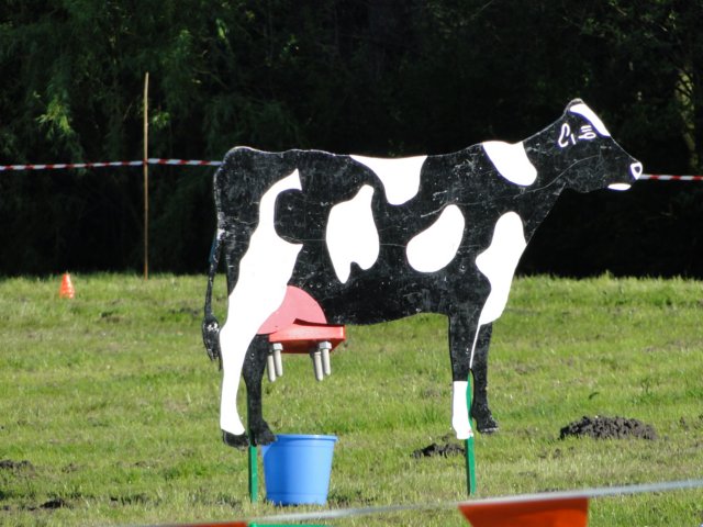 koninginnedag 2012 016.jpg